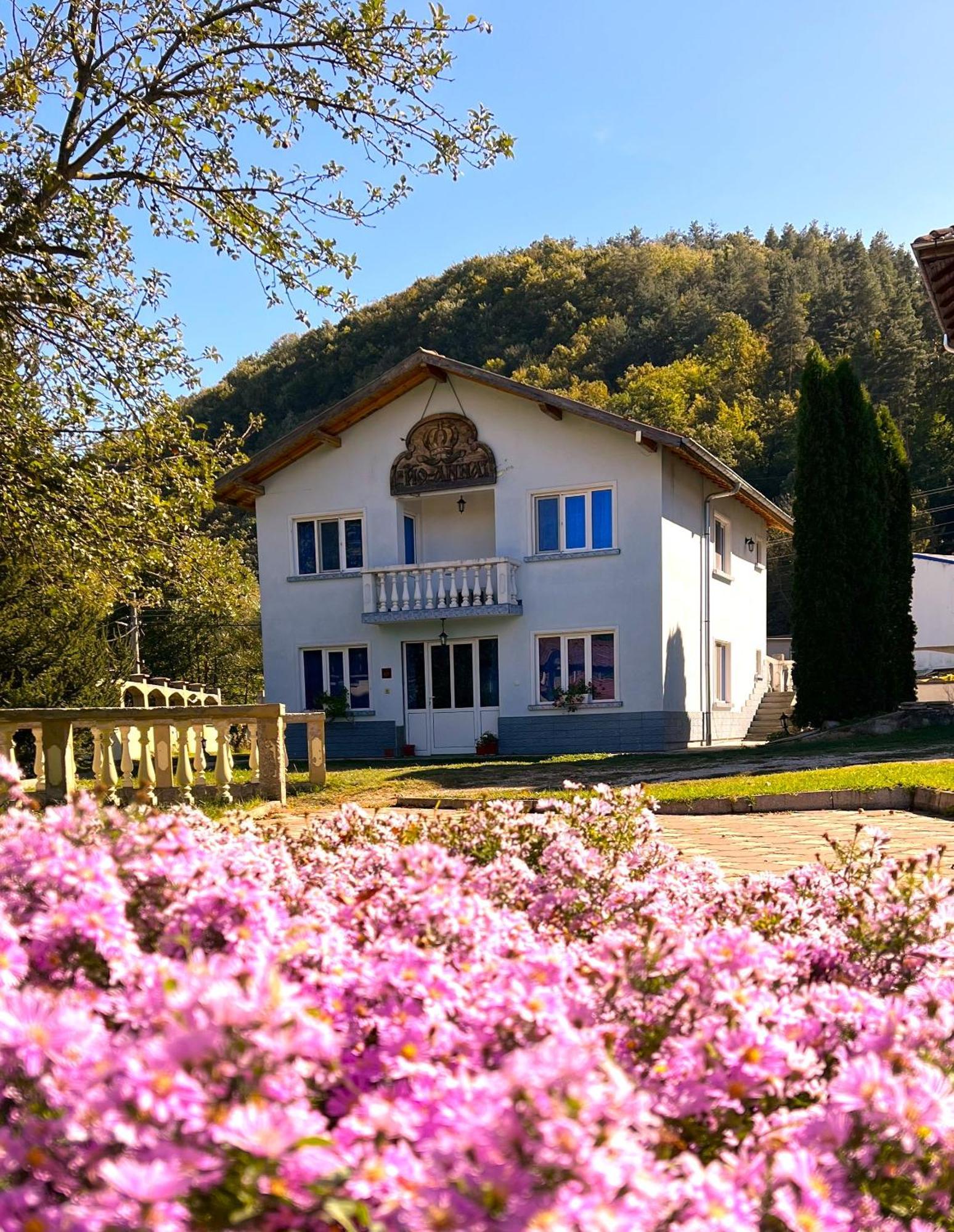 Vacation Home Yoanna Trjawna Exterior foto