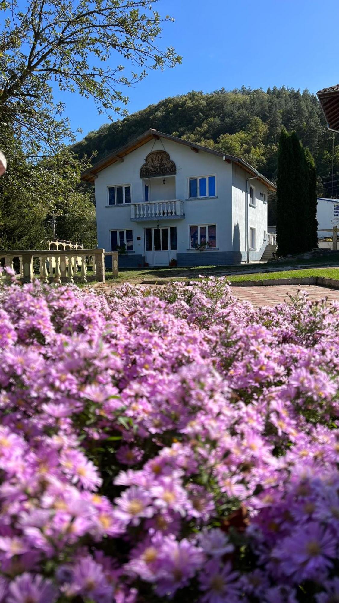 Vacation Home Yoanna Trjawna Exterior foto